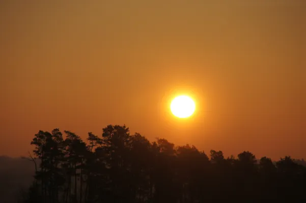 Bild: Jetzt neu: Transzendentale Meditationen wie Zen-Mönche in wenigen Minuten
