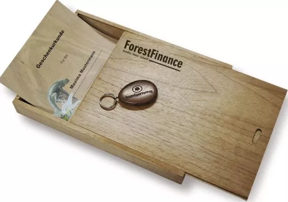 Bild: Kommunions-Geschenk mit nachhaltiger Wirkung: Der GeschenkBaum