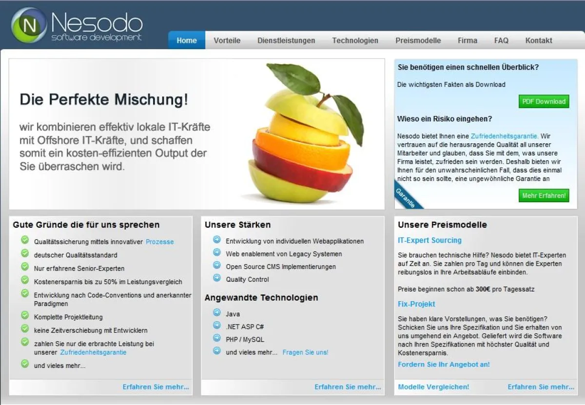 Zukunftsmodell Hybrid-Offshoring: Softwareentwicklungsfirma Nesodo.com mit 6-stelligem Umsatz binnen 6 Monaten.