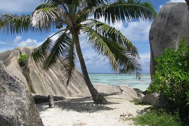 Ab auf die Seychellen – Granny Aupair Angelika entflieht dem Hamburger Schmuddelsommer Bild: Ab auf die Seychellen – Granny Aupair Angelika entflieht dem Hamburger Schmuddelsommer