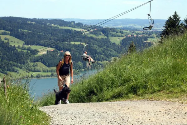 Bild: Herbststimmung in der Alpsee Bergwelt