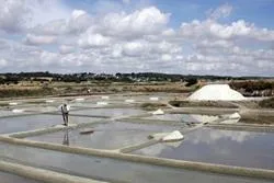 Frankreich zeigt sich von seiner Bio-Seite Bild: Frankreich zeigt sich von seiner Bio-Seite