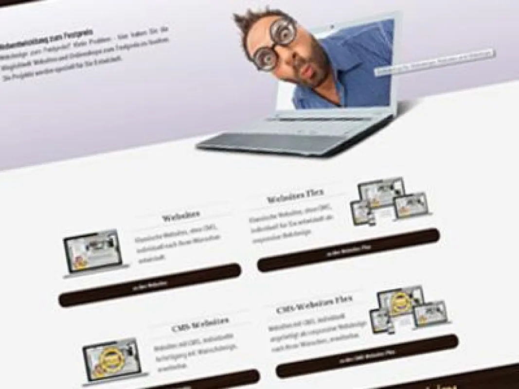 Kompaktdesign - Onlineshop für Webentwicklung