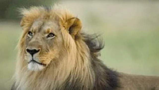 Bild: Neue Namibia Reisen vom Reisespezialist intaba