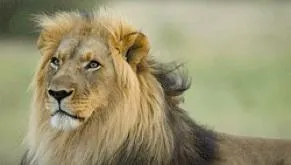 Neue Namibia Reisen vom Reisespezialist intaba Bild: Neue Namibia Reisen vom Reisespezialist intaba