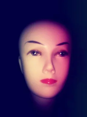 Bild: Ein Puppenkopf auf Modelreise