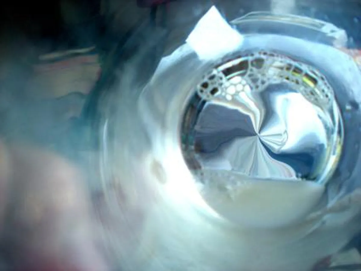 winterwonderland - Foto - copyright Bianka Ahlgrimm