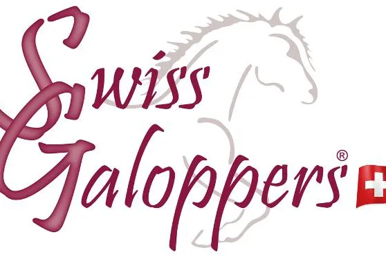 Junges Schweizer Hufschuh-Patent jetzt auch bei HAUPTNER im Angebot Bild: Junges Schweizer Hufschuh-Patent jetzt auch bei HAUPTNER im Angebot