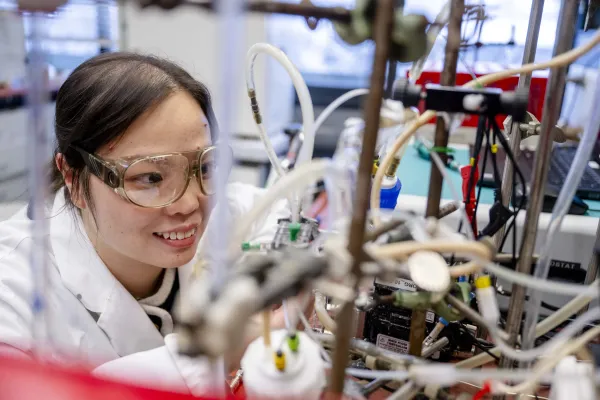 Bild: Anorganische und Biokatalysatoren reduzieren gemeinsam CO-2