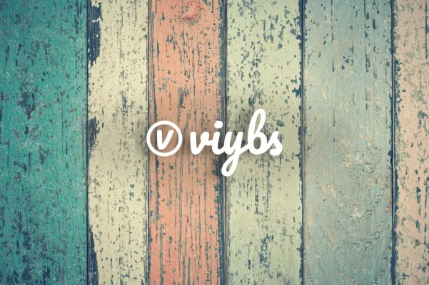 Bild: Die Vision der Marketing & Digital Agentur viybs