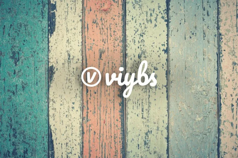 Bild: Die Vision der Marketing & Digital Agentur viybs