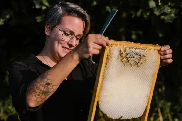 Bild: Löblich und kostenlos: Webinar - Den Balkon naturnah und bienenfreundlich gestalten. ***