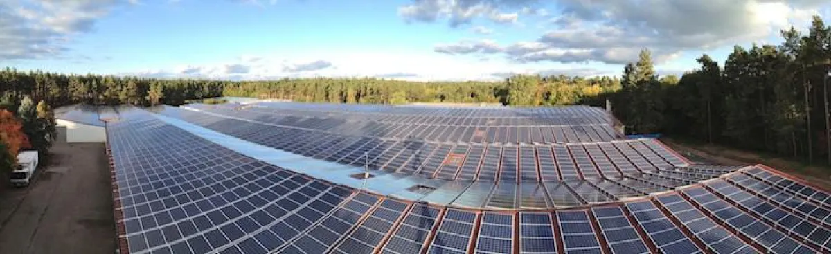 2.4 MW Dachanlage Pilzzucht