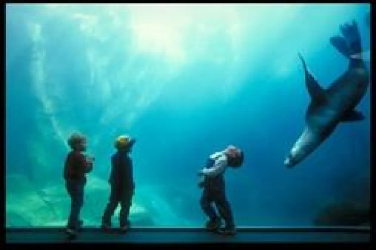 Alaska SeaLife Center (c) Robin Hood, Travel Alaska