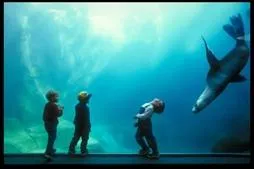 Alaska SeaLife Center feiert Geburtstag Bild: Alaska SeaLife Center feiert Geburtstag