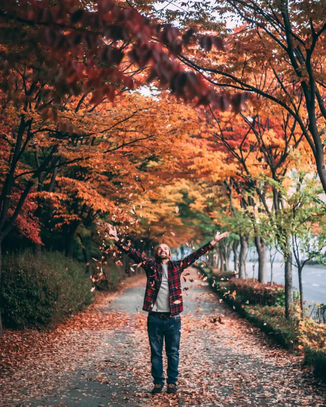 Gerade im Herbst wichtig: Bewegung, gesunde Ernährung und ausreichende Versorgung mit Vitamin D  (© Taryn Elliott/pexels)