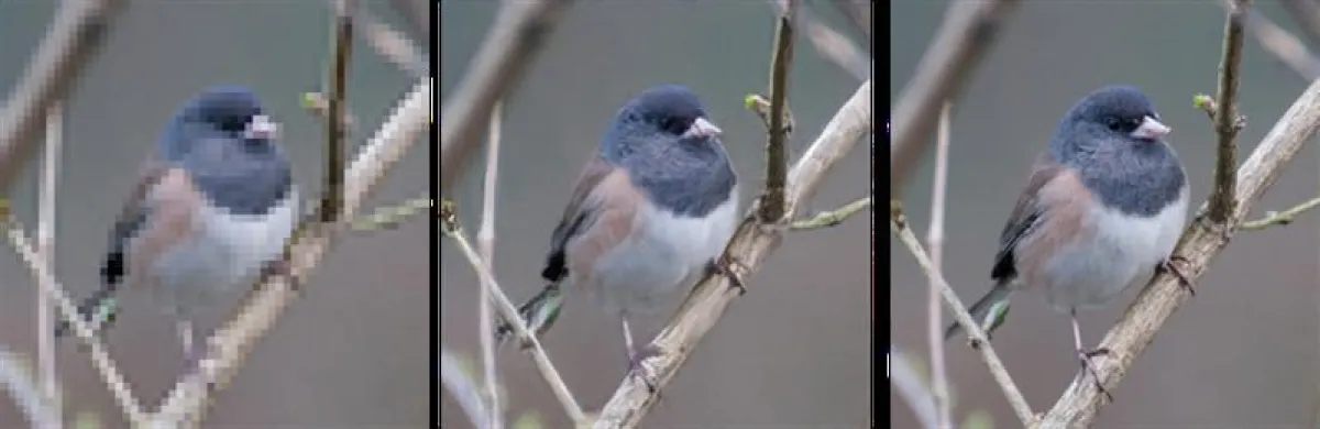 EnhanceNet-PAT ist in der Lage, ein schlecht aufgelöstes Bild (links) deutlich zu verbessern (Ergebnis siehe Mitte). Das Ergebnis kommt dem Original (rechts) sehr nahe (Max-Planck-Institut für Intelli