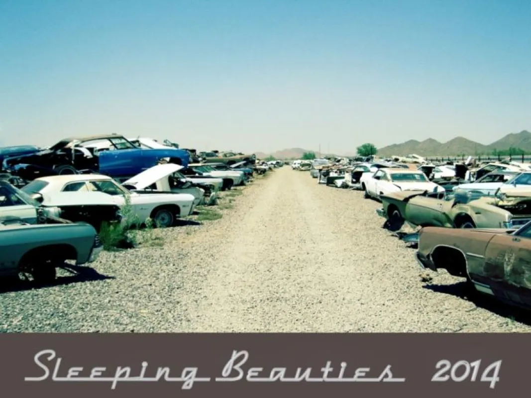 Sleeping Beauties Tischkalender 2014