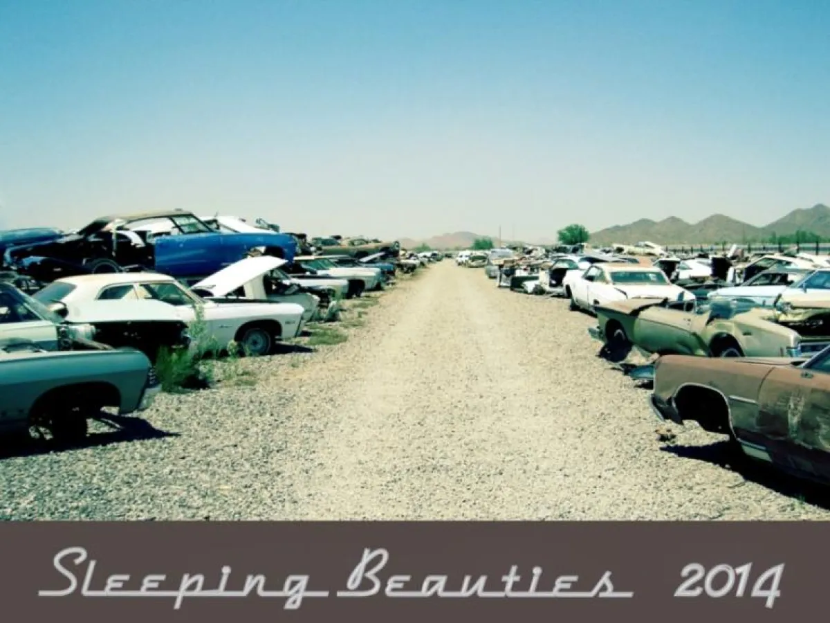 Sleeping Beauties Tischkalender 2014