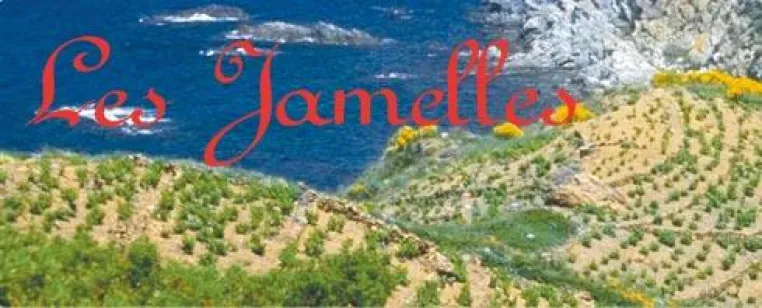 Neue Wein-Kreationen von Les Jamelles bei BELVINI.DE Bild: Neue Wein-Kreationen von Les Jamelles bei BELVINI.DE