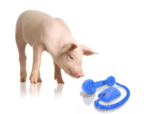 Telefon Tarifkostenrechner: VoIP Sparpotenziale kostenlos berechnen Bild: Telefon Tarifkostenrechner: VoIP Sparpotenziale kostenlos berechnen