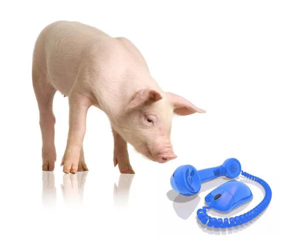 Bild: Telefon Tarifkostenrechner: VoIP Sparpotenziale kostenlos berechnen