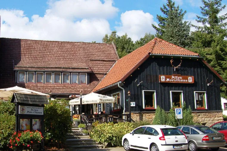 Frühlingsboten auf dem höchsten Berg des Harzes - Brockengarten beliebtes Ziel für Wanderer Bild: Frühlingsboten auf dem höchsten Berg des Harzes - Brockengarten beliebtes Ziel für Wanderer