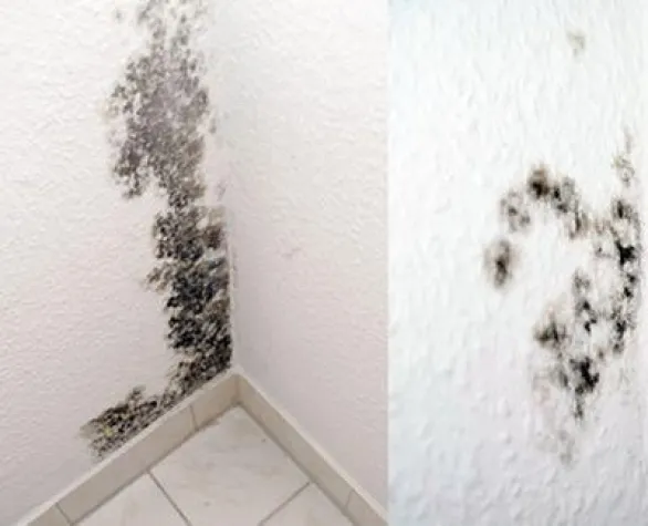 Bild: Geizen beim Heizen fördert die Schimmelbildung