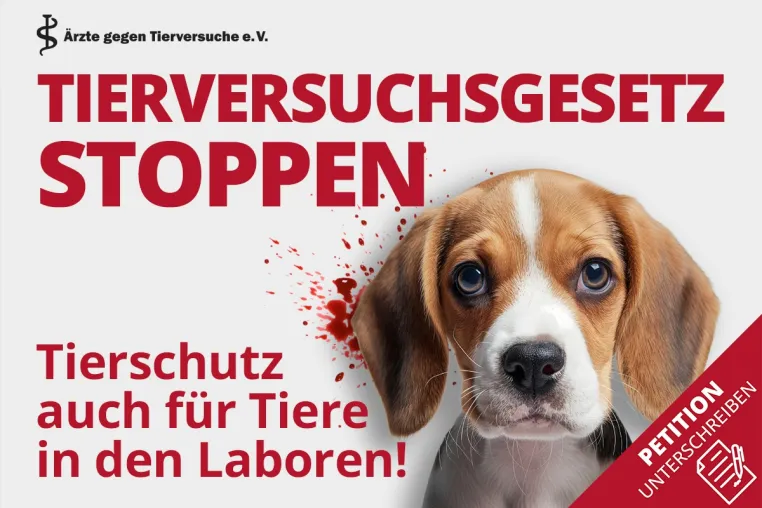 Bild: Bundestagspetition gegen Tierversuchsgesetz erreicht bereits zur Halbzeit mehr als 65.000 Unterschriften
