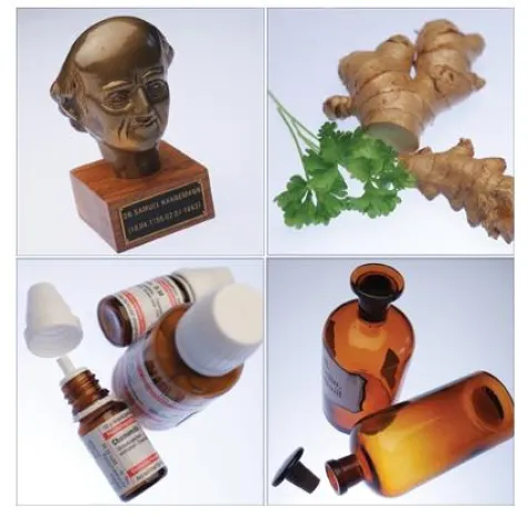 Bild: Gesund durch das Jahr