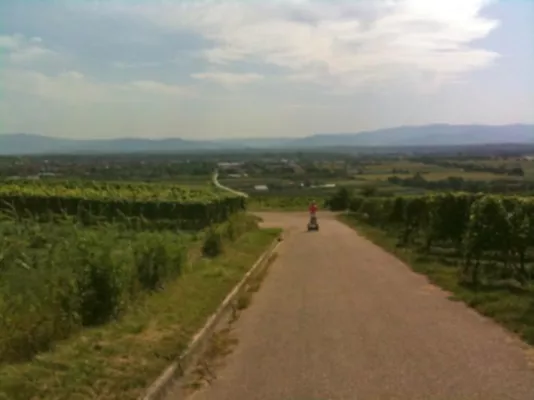 Bild: Auf Schwebefahrt im Kaiserstuhl