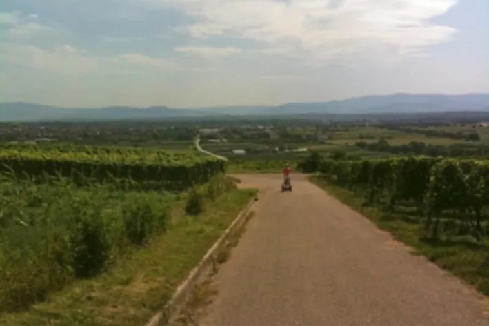 Auf Schwebefahrt im Kaiserstuhl Bild: Auf Schwebefahrt im Kaiserstuhl