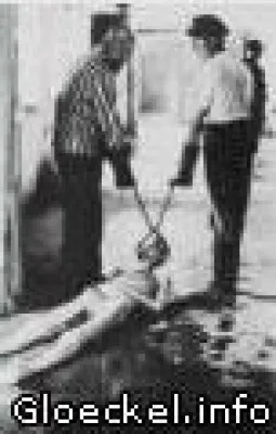 Bild: Vom Journalist GLÖCKEL aufgedeckte falsche Holocaust-Fotos erneut vor Gericht