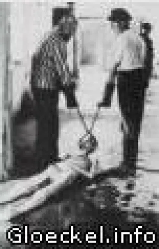 Vom Journalist GLÖCKEL aufgedeckte falsche Holocaust-Fotos erneut vor Gericht Bild: Vom Journalist GLÖCKEL aufgedeckte falsche Holocaust-Fotos erneut vor Gericht