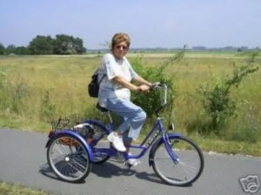 Dreiräder für Erwachsene Bild: Dreiräder für Erwachsene