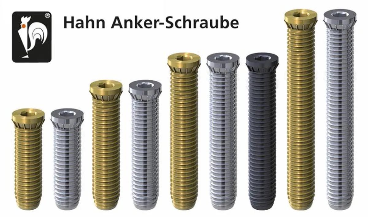 Ausführungen der Hahn Anker-Schraube