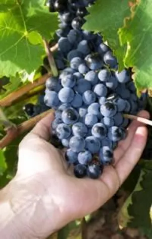 Bild: Stiftungs-Update – für eine nachhaltige Stiftungsarbeit