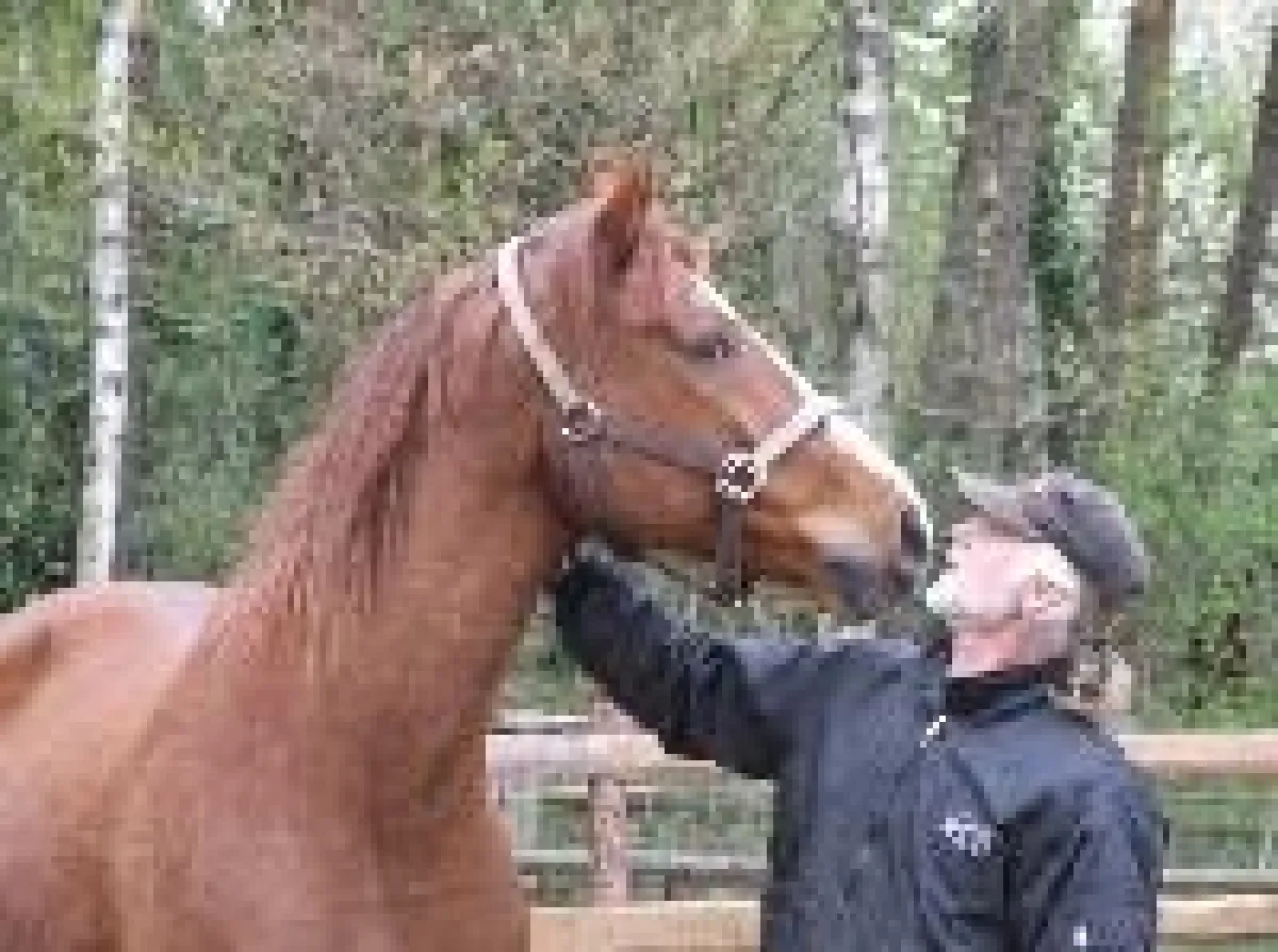 Lernen, den anderen zu verstehen – für beide Seiten nötig und jederzeit möglich!