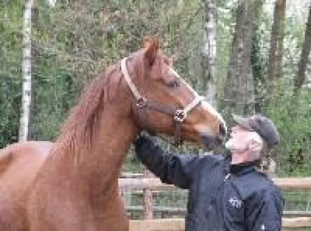 Bild: Lernen, zu verstehen – Ganzheitliche Tierverhaltenstherapie (GVT)