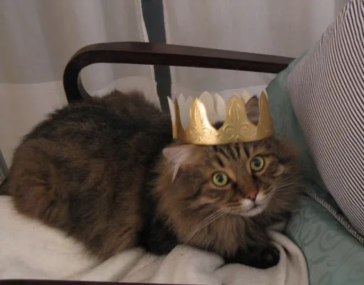 Bild: Warum Mitarbeiter von Almo Nature auch privat eine ganz besondere Beziehung zu Tieren haben