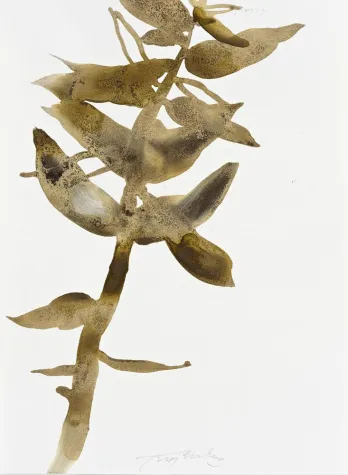 Bild: Hugo Fontela. Der jüngste Star der spanischen Kunst