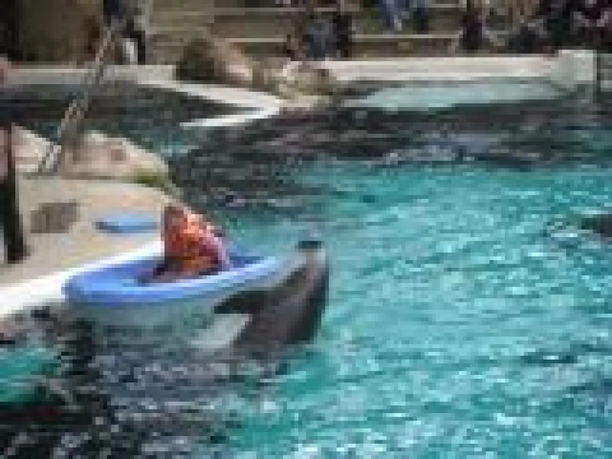 Kind und Delfin haunah m Duisburger Delfinarien