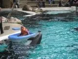 Landesdatenschutz-Beauftragte rügt Stadt Duisburg – Polizei verbietet WDSF-Demo vor dem Zoo bei Jubiläum Bild: Landesdatenschutz-Beauftragte rügt Stadt Duisburg – Polizei verbietet WDSF-Demo vor dem Zoo bei Jubiläum