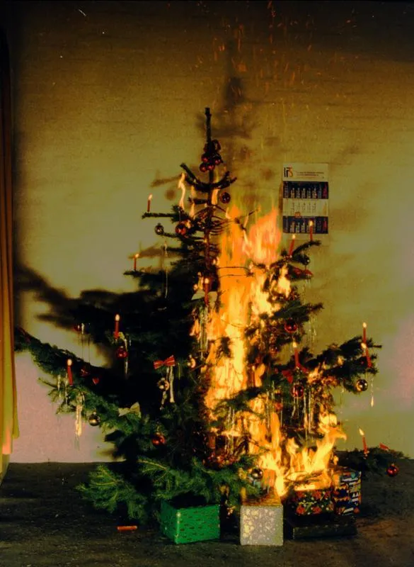 Baum in Flammen. Muss nicht sein: Verdorbenes Fest und Lebensgefahr für die Familie.