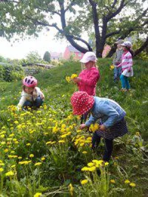 Kita „Steinbergzwerge“ gewann den traditionellen Pankower Umweltpreis Bild: Kita „Steinbergzwerge“ gewann den traditionellen Pankower Umweltpreis
