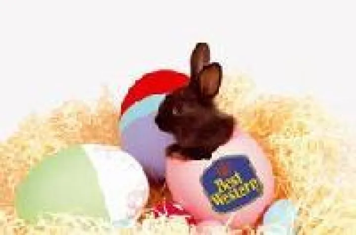 Bild: Vier-Sterne Osterei in München versteckt