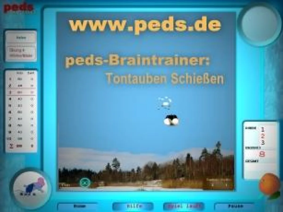 peds-Braintrainer- Übungsbeispiel