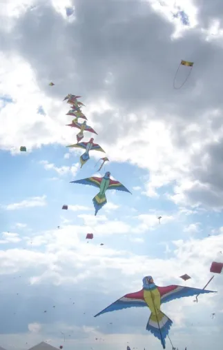 Bild: Ferienhaus Umbrien La Rogaia. „Malen wir den Himmel bunt!“ Drachenfest 1. - 4. Mai 2014, Castiglione del Lago