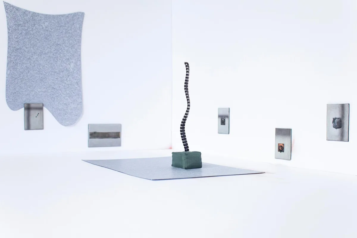 JakobArgauer, Ausstellungsansicht