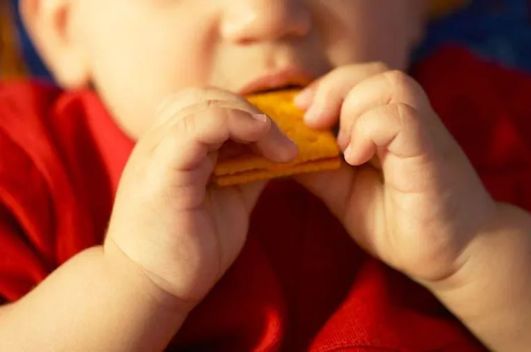 Schwangerschaftsvertretung für die Qualitätsmanagerin (Lebensmittelproduktion) Bild: Schwangerschaftsvertretung für die Qualitätsmanagerin (Lebensmittelproduktion)